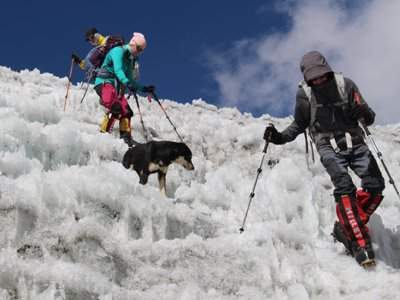 Подружившаяся с альпинистами собака установила впечатляющий рекорд