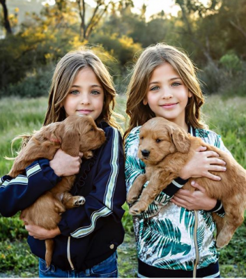 Этих восьмилетних близняшек считают самыми красивыми в мире. Фото