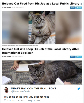 Чиновник, добивавшийся «увольнения» кота из библиотеки, сам лишился работы