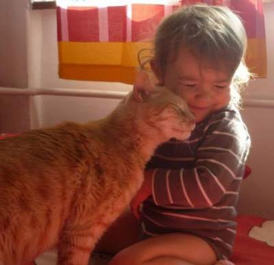 Забавные фотки, доказывающие, что всем детям нужны коты