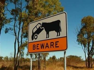 Смертельно опасная фауна Австралии. Фото