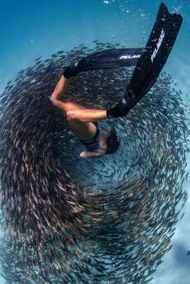 Впечатляющие кадры: фридайверы плывут через косяк рыб. Фото