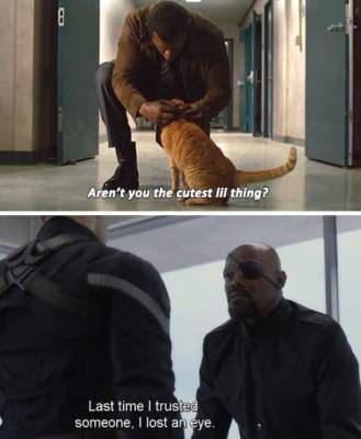 Кот из «Капитана Марвела» стал звездой новых мемов