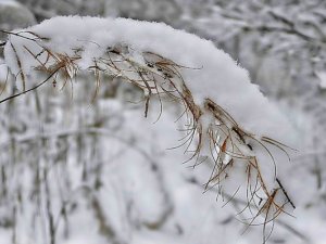 Украину завалит снегом и зальет дождем