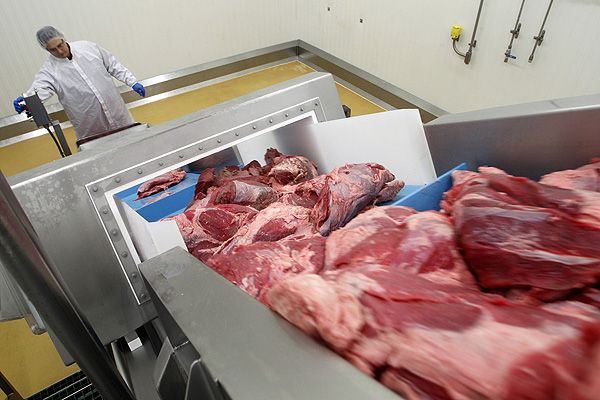 Украина запретила ввоз бразильского мяса 