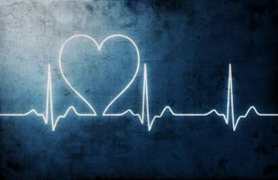 Раскрыт секрет здоровья сердца