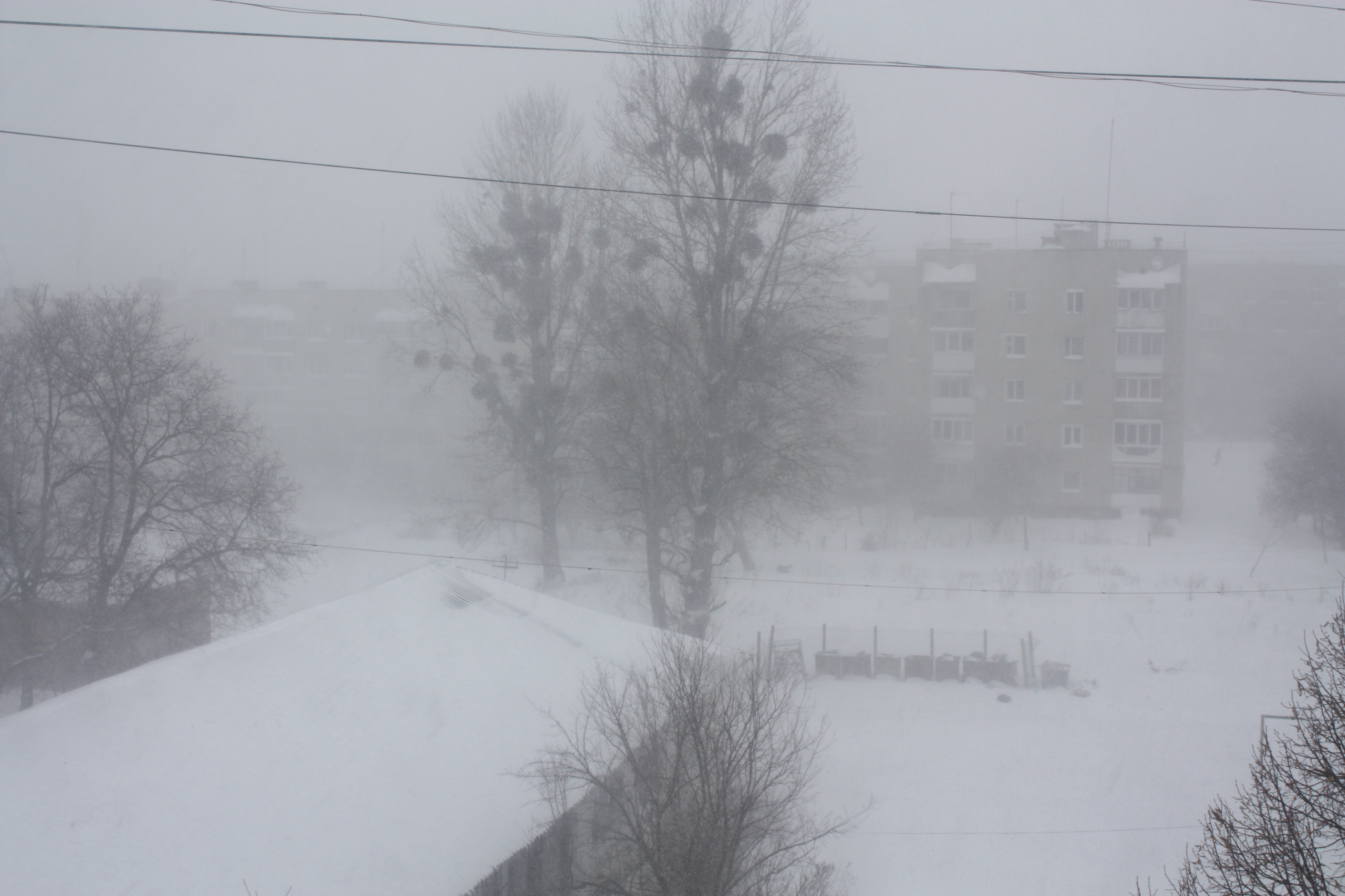 Из-за снежного апокалипсиса в Украине развернули спасательные пункты