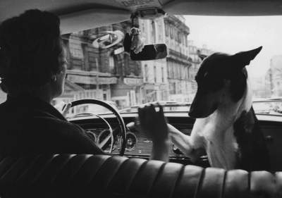 Мир из окна автомобиля в черно-белых снимках. Фото