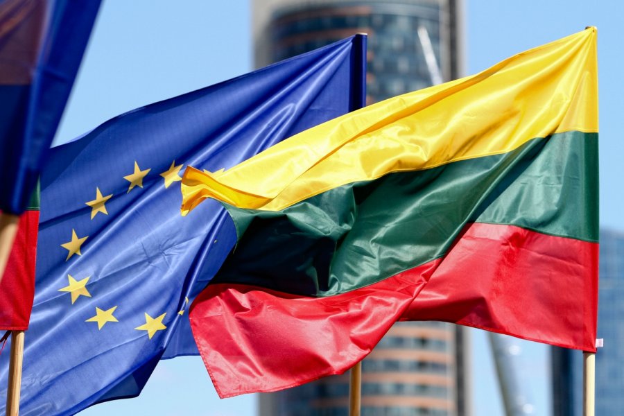 С чего начать, чтобы беспроблемно получить гражданство Литвы 