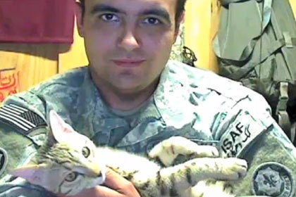Американский военный вывез из Афганистана кота по кличке Кошка 
