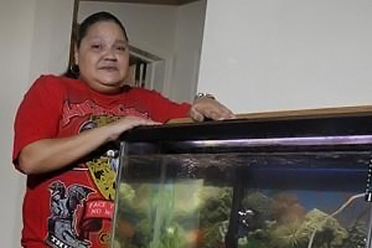 Житель Нью-Йорка убил рыбок своей соседки