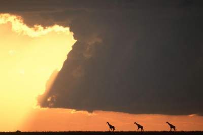 Красивые закаты на африканском континенте. Фото