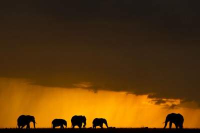 Красивые закаты на африканском континенте. Фото