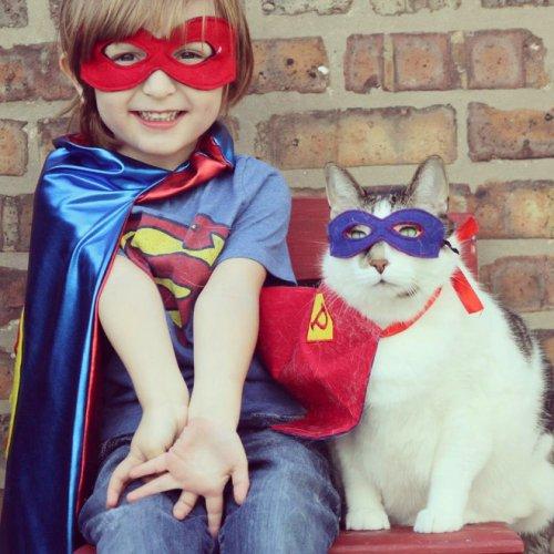 Коты-супергерои, которые вызовут у вас улыбку (ФОТО)