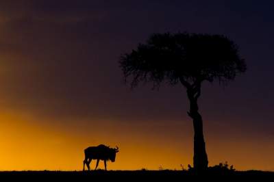 Фотограф исколесил Африку в поисках красивых закатов. Фото