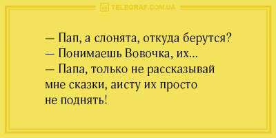 Пять минут смеха: подборка анекдотов для позитивного утра