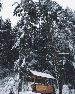 Невероятно красивые Карпаты в снимках украинского фотографа. Фото