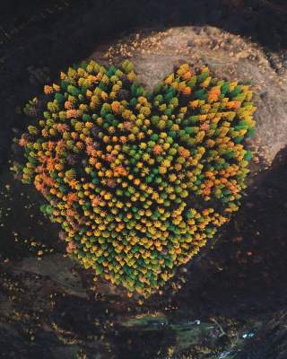 Невероятно красивые Карпаты в снимках украинского фотографа. Фото