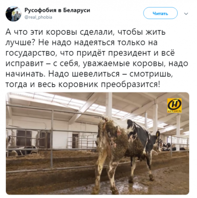 В Сети с юмором отреагировали на Лукашенко, вступившегося за коров