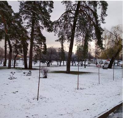 Киевляне делятся зрелищными снимками снежного марта. Фото
