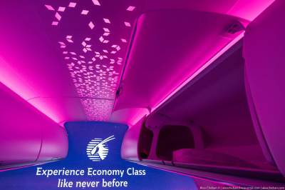 Так выглядит самый комфортный эконом-класс в самолете. Фото