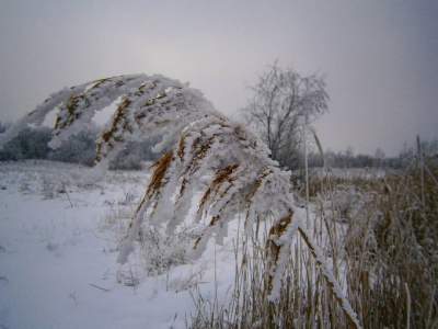 Мартовский снег в Украине в свежих снимках. Фото