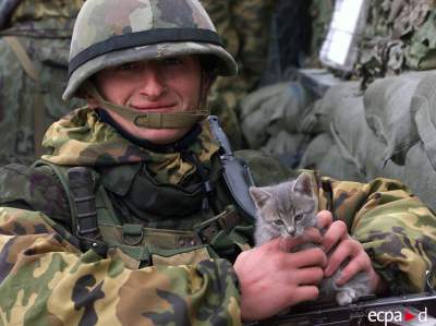 Военные разных стран с кошками. Фото