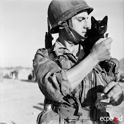 Военные разных стран с кошками. Фото