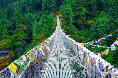 Необычные мосты, по которых пройдутся лишь отъявленные смельчаки. Фото