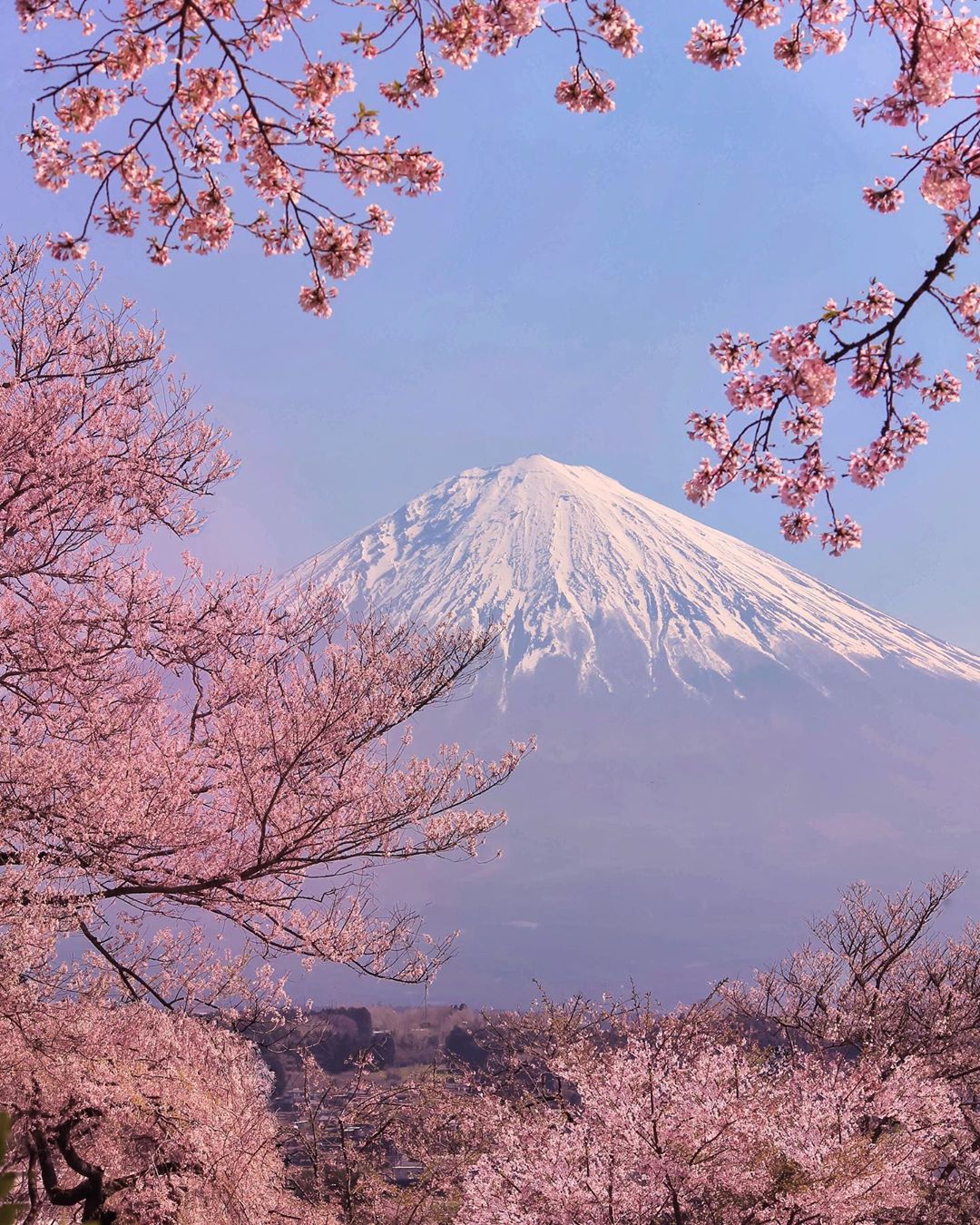 Красота японской природы на снимках Макико Самедзима