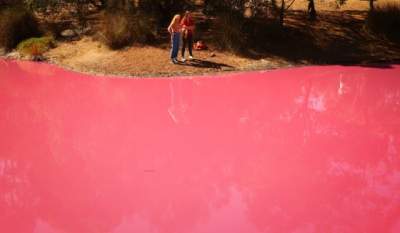 Это розовое озеро в Мельбурне привлекает толпы туристов. Фото