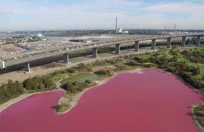 Это розовое озеро в Мельбурне привлекает толпы туристов. Фото
