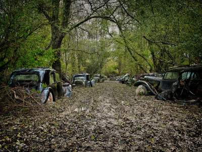 Так выглядят кладбища старых автомобилей. Фото