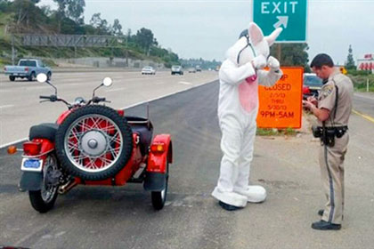 В Сан-Диего полиция остановила пасхального зайца на мотоцикле 