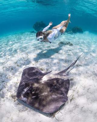 Красочные снимки подводного мира и людей в нем. Фото