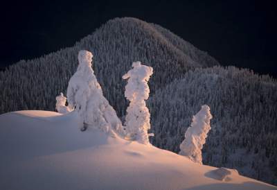 Лучшие пейзажные снимки по версии престижного фотоконкурса. Фото