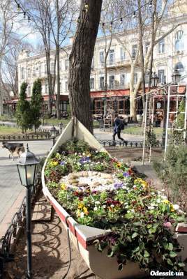 В Одессу пришла настоящая весна. Фото
