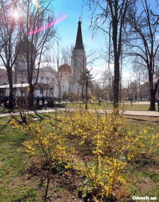 В Одессу пришла настоящая весна. Фото