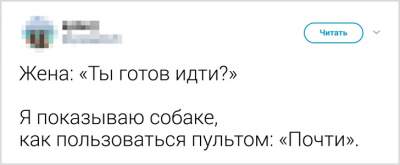 Забавные доказательства того, что быть мужем – задача не для слабонервных