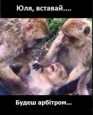 По соцсетям "гуляют" фотожабы на обращение Зеленского к Тимошенко