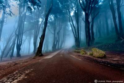 Фотографы показали самые красивые дороги в мире. Фото