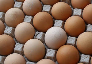 Яйца перед Пасхой подорожают на 20%