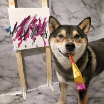 Собака из Канады зарабатывает, рисуя необычные картины. Фото