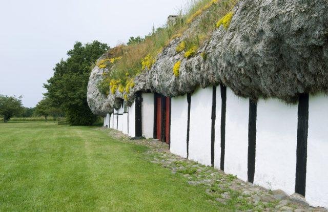 Уникальные дома с крышами из морских водорослей
