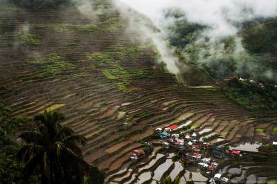 Рисовые долины на Филиппинах в ярких снимках. Фото