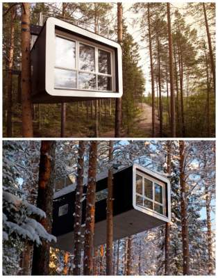 Самые необычные в мире гостиницы на деревьях. Фото