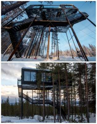 Самые необычные в мире гостиницы на деревьях. Фото