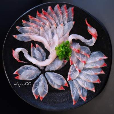 Японец создает креативные картины с помощью рыбы. Фото