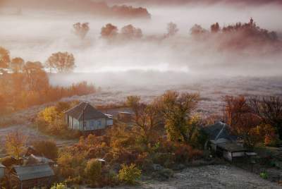 Волшебные краски осени. Фото