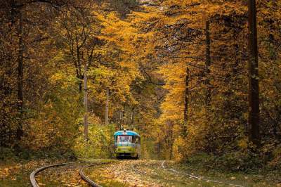 Волшебные краски осени. Фото